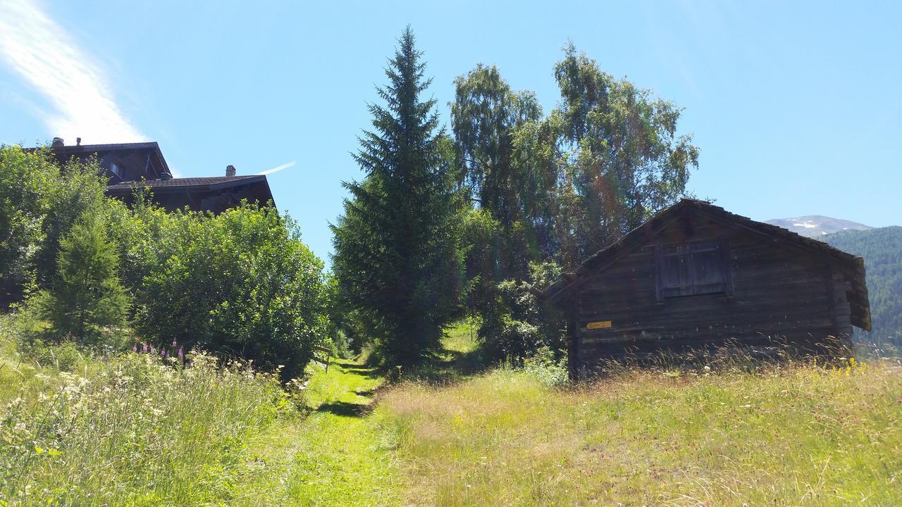 Chalet Bergmann Burchen Exterior photo