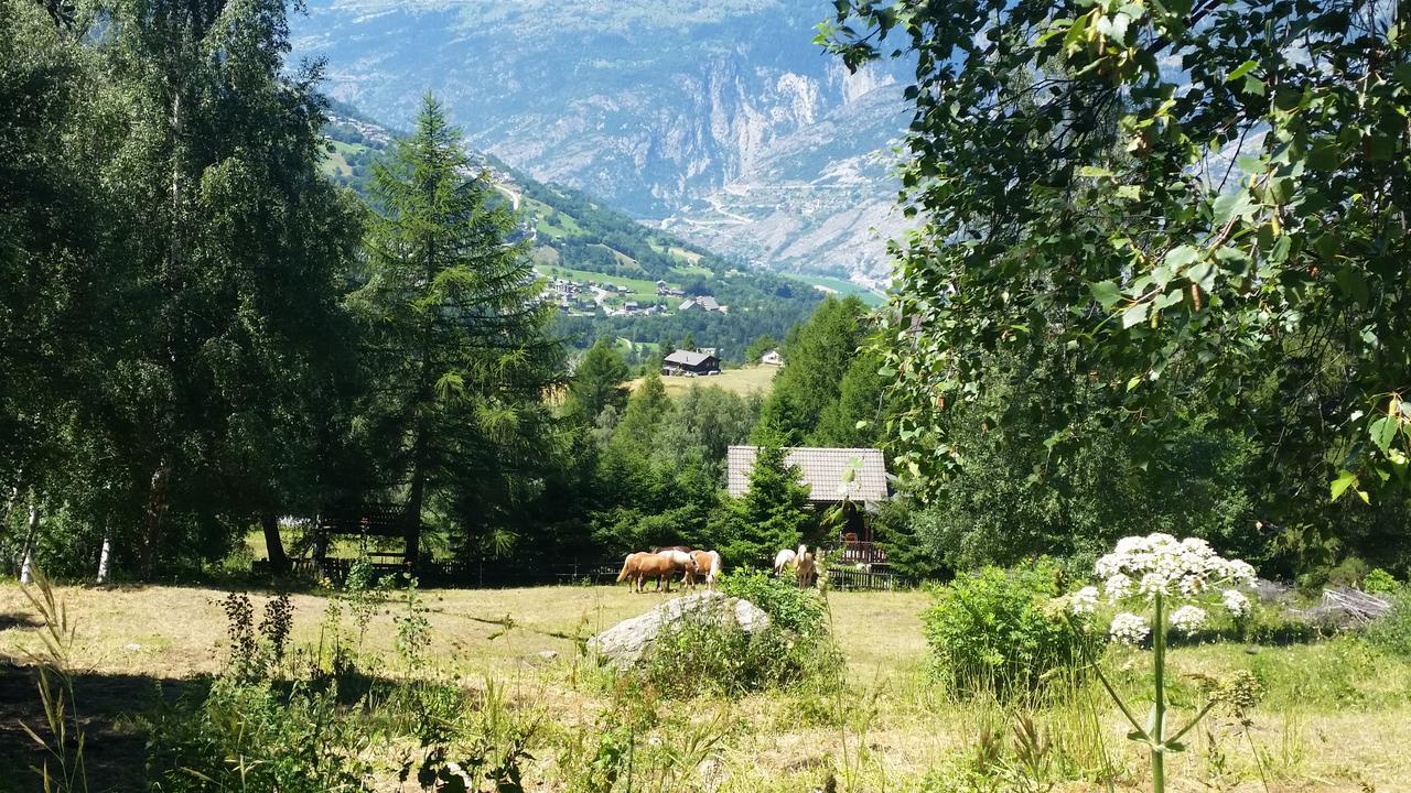 Chalet Bergmann Burchen Exterior photo