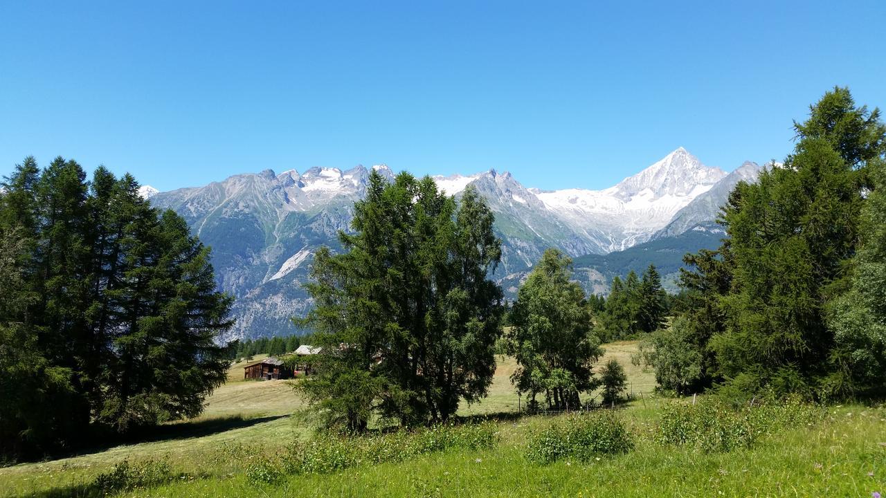 Chalet Bergmann Burchen Exterior photo