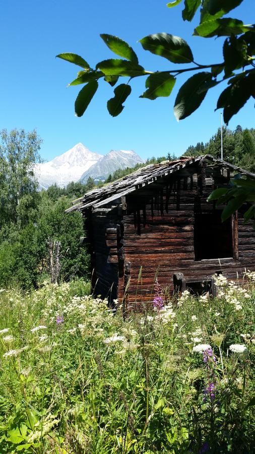 Chalet Bergmann Burchen Exterior photo