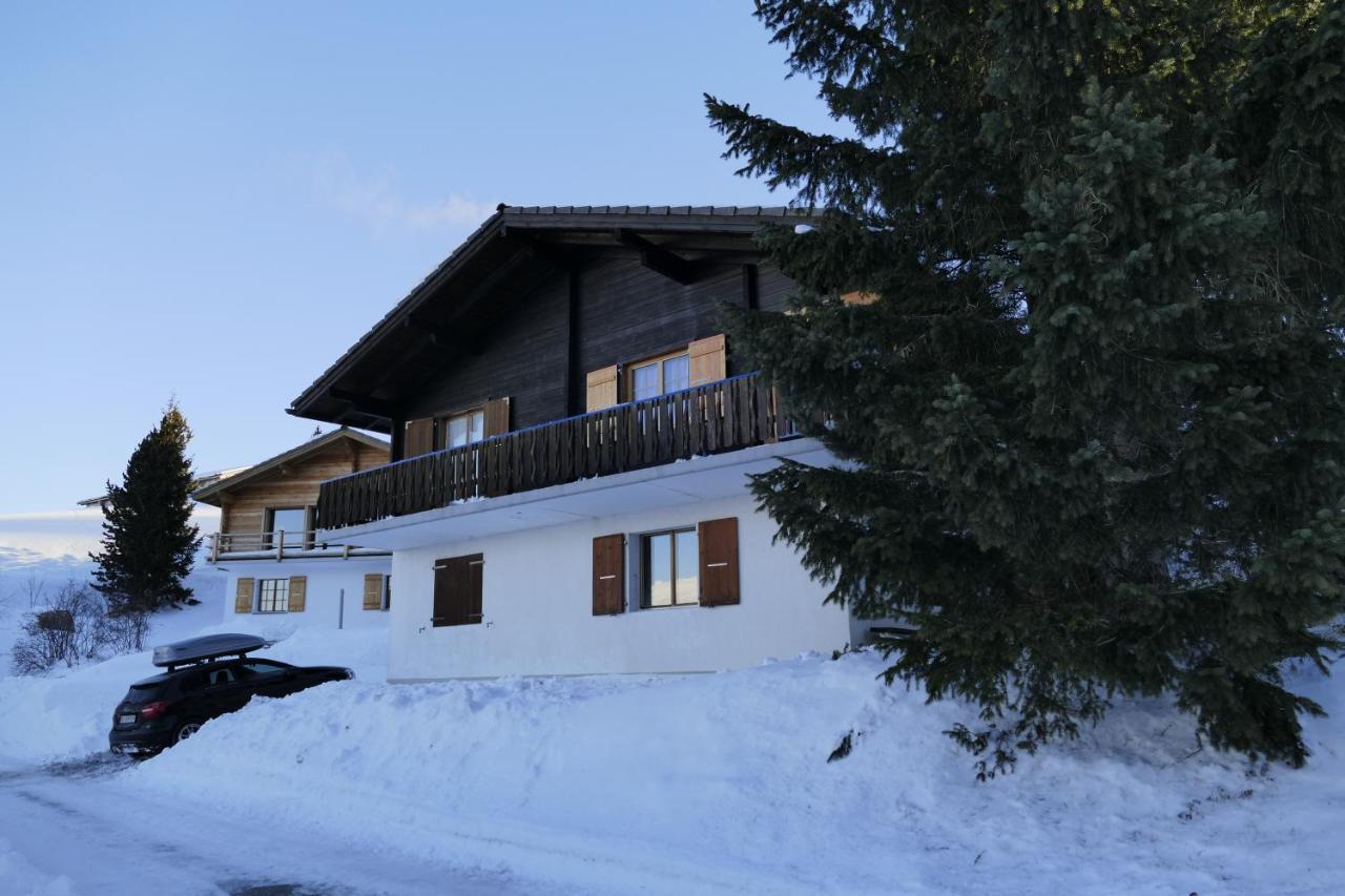 Chalet Bergmann Burchen Exterior photo